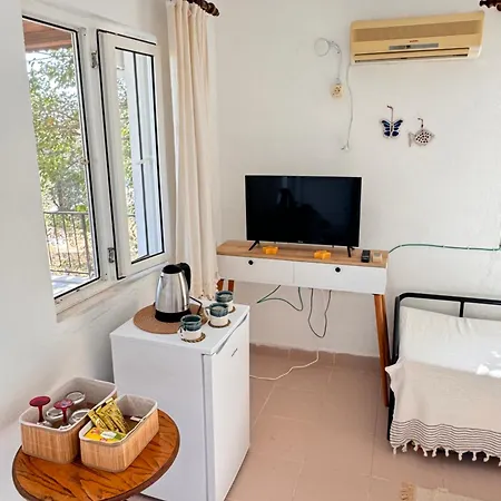 Garabille Gazde/Camere de închiriat *